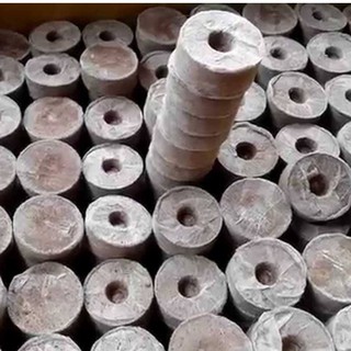 Bộ 50 viên nén ươm hạt - viên nén xơ dừa kích mầm