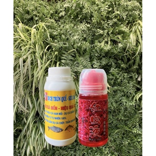 Combo Dịch trùn quế Thái Hà + Dịch trùn đỏ Nhập đài cá ham mồi