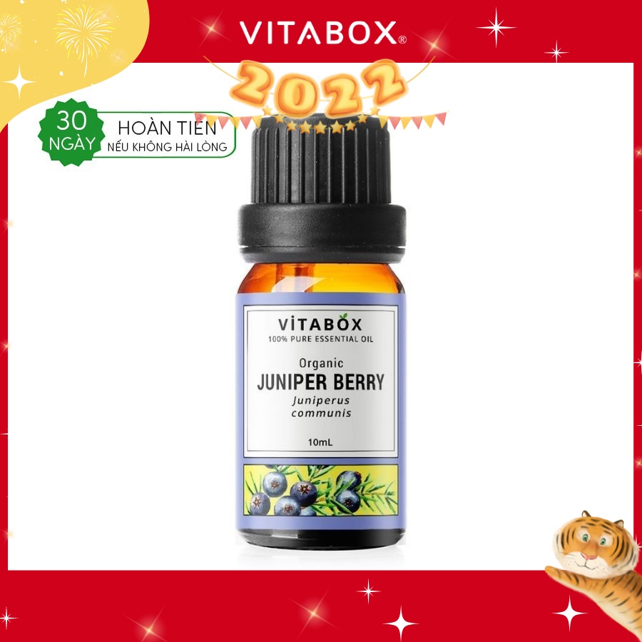 Tinh Dầu Bách Xù (Juniper Berry) - 100% Thiên Nhiên Nguyên Chất - Vitabox Natural Essential Oil