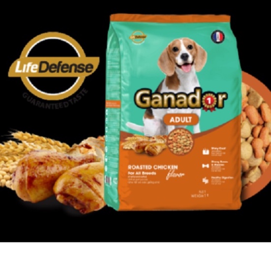Hạt chó Ganador Adult Thức ăn cho chó trưởng thành vị gà nướng 400gr Petemo Pet Shop