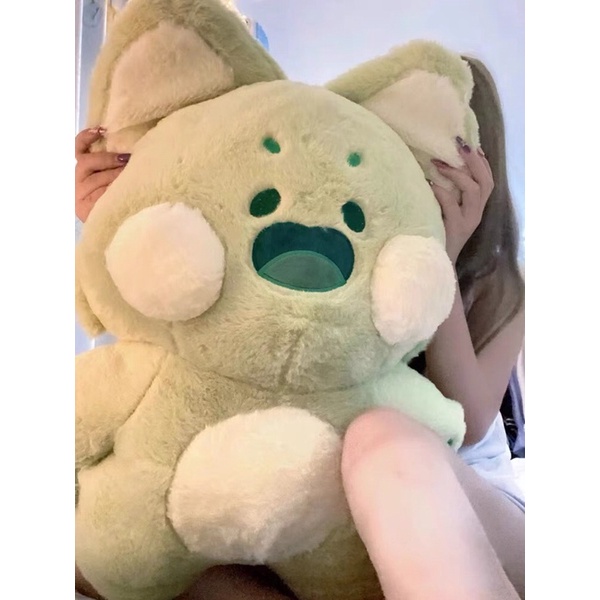 Chồn bông đáng yêu má béo