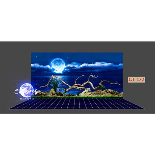 tranh 3d. tranh dán bể cá thủy sinh, bể cá rồng (tranh lưng)