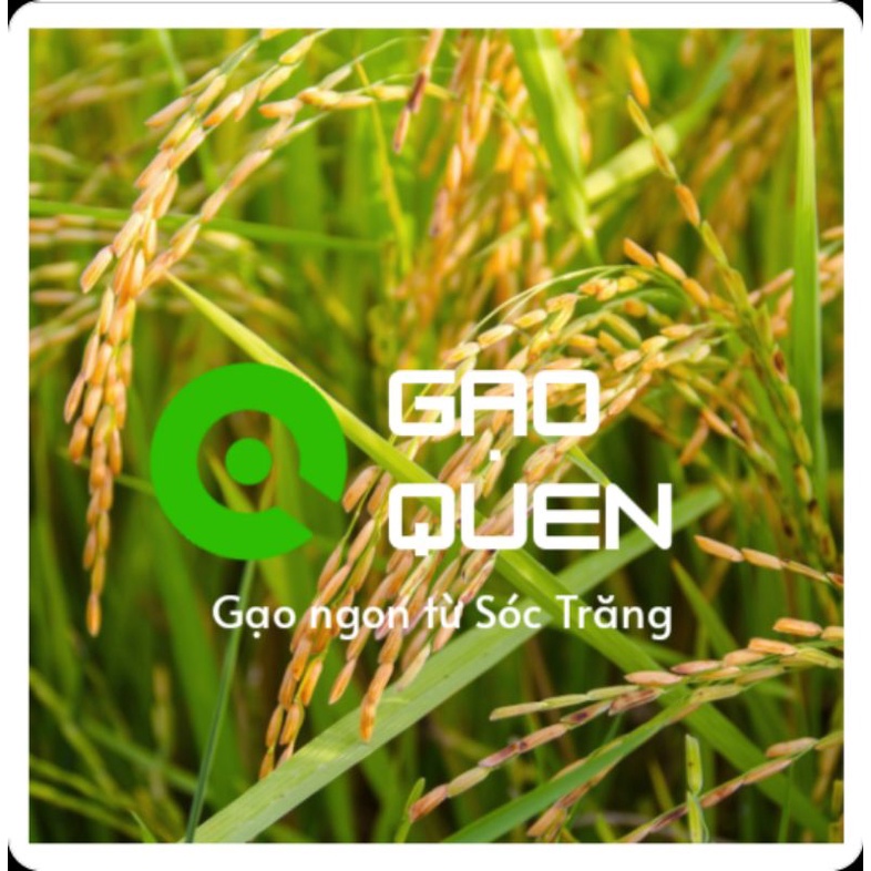 Gạo chính hiệu Sóc Trăng - GẠO LỨT - Túi 01kg | BigBuy360 - bigbuy360.vn
