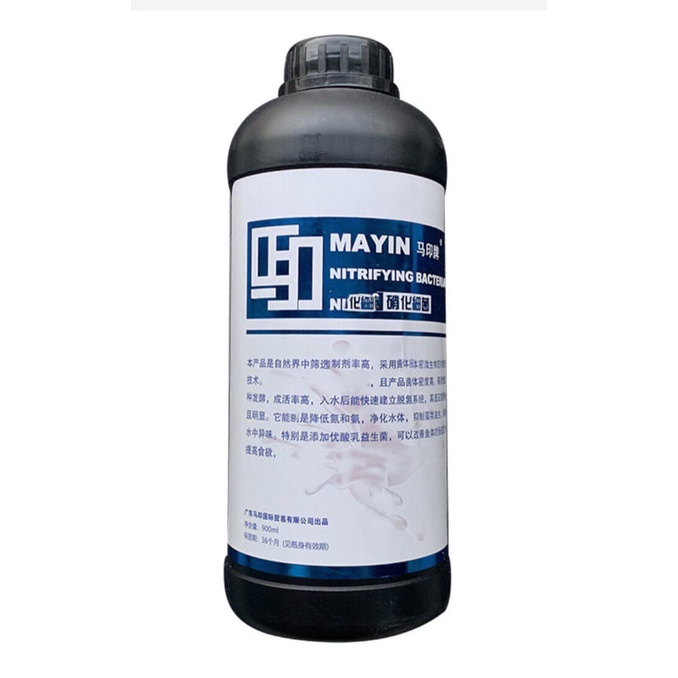 Vi sinh MAYIN chai 900ml chuyên dụng cho bể cá rồng