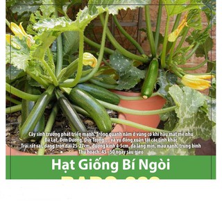 Hạt Giống Bí Ngòi Xanh Dễ Trồng, Năng Suất Cao 1gr