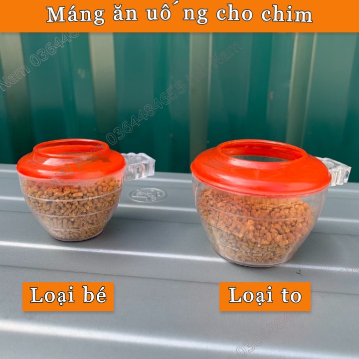 Cóng ăn uống cho chim chào mào,chích chòe, yến hót - Chất liệu nhựa