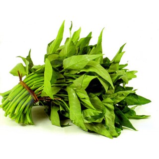 RAU MUỐNG LÁ LỚN RĐ 13 (50gr)