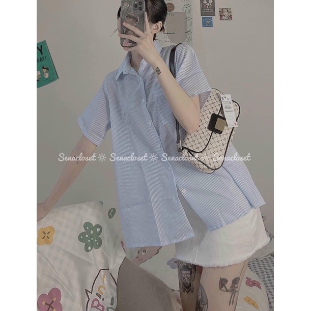 Full set sơmi kẻ xẻ tà sau chất xốp quần short trăng ( Ảnh thật )