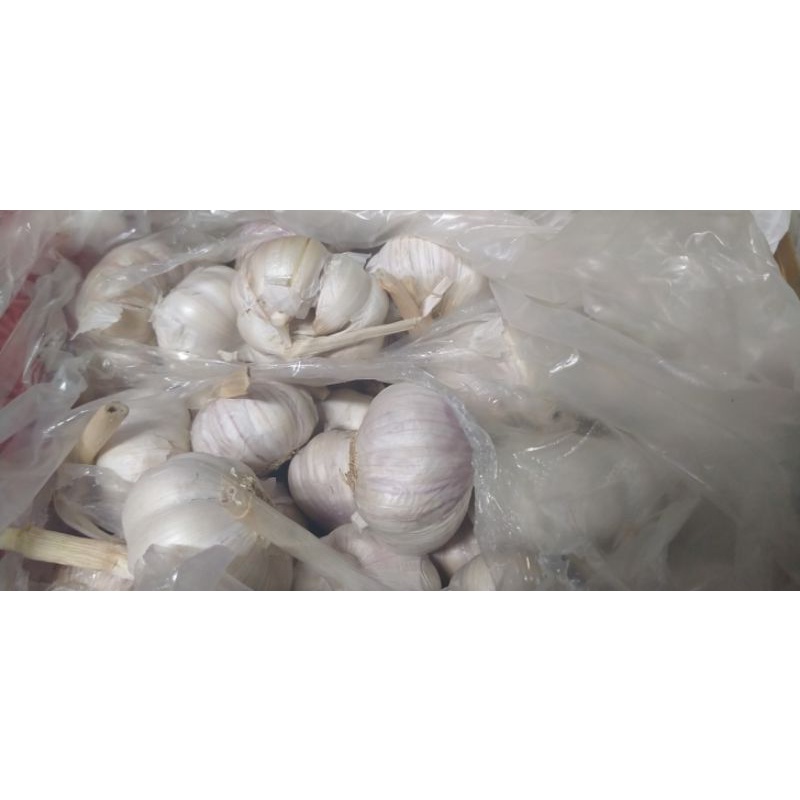 tỏi đà lạt các loại (1kg)