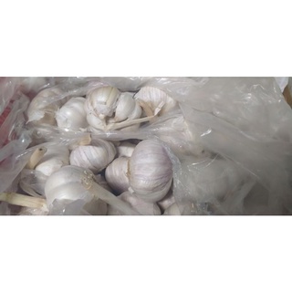 Tỏi đà lạt các loại