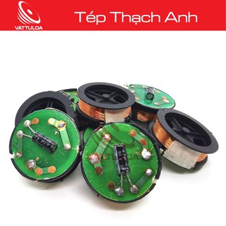 TÉP THẠCH ANH