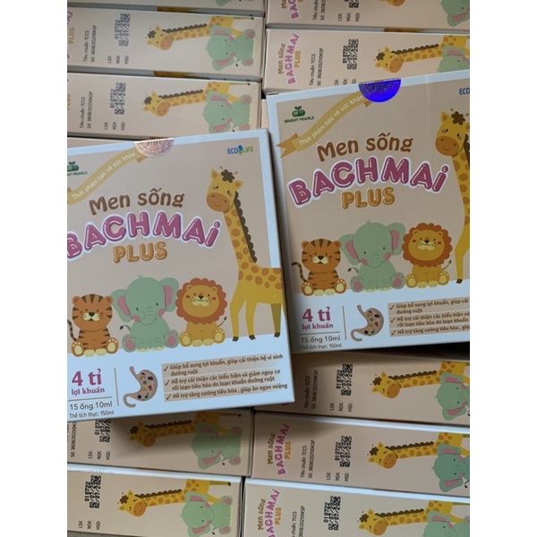 MEN SỐNG BẠCH MAI, ENZYM BẠCH MAI DATE XA