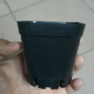 Chậu nhựa nhỏ 6 cm