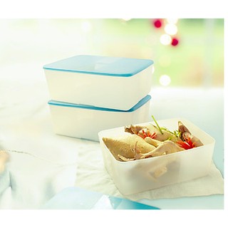 Hộp trữ đông 5.6L Tupperware ( 1 hộp )
