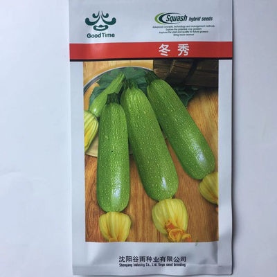 Holly ZUCCHINI hạt giống Châu Mỹ bí ngô hạt giống Rau hạt giống 20g