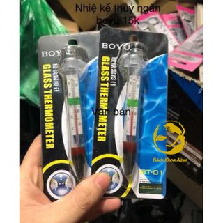 Nhiệt kế thủy ngân Boyu BT-01