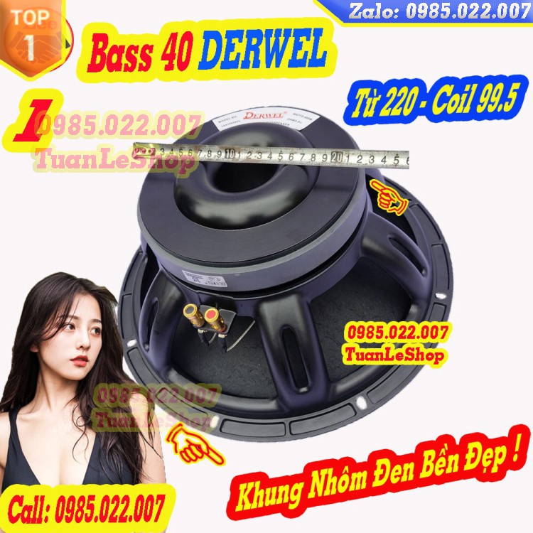 2 Củ LOA BASS 4 TẤC COIL 100 TỪ 220   DERWEL 15AH225DL  -LOA  BASS 40 – GIÁ 2 CỦ LOA RỜI