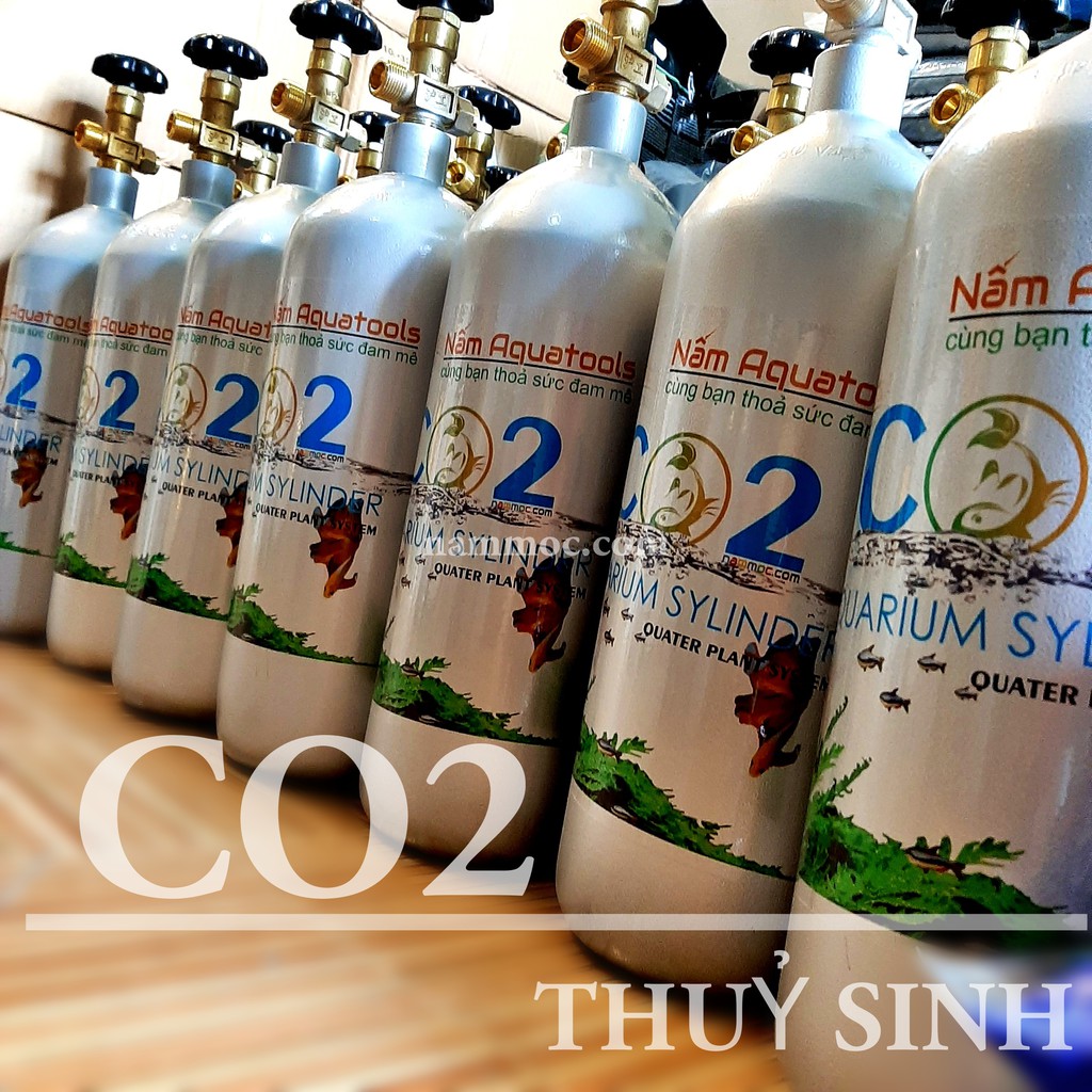 Bình CO2 Thuỷ Sinh 3kG, Full Khí  | Bình CO2 Sắt 3kG Cho Hồ Cá Thuỷ Sinh