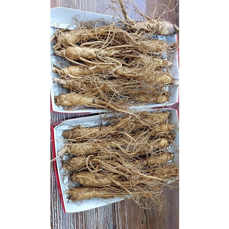 Sâm  Hàn Quốc ,Sâm 6 củ ,Sâm  1,2,34,5,6,7,8,9,10 củ
