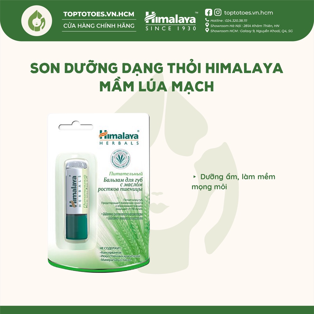 Son dưỡng Himalaya Herbals lành tính, dưỡng ẩm, làm hồng môi