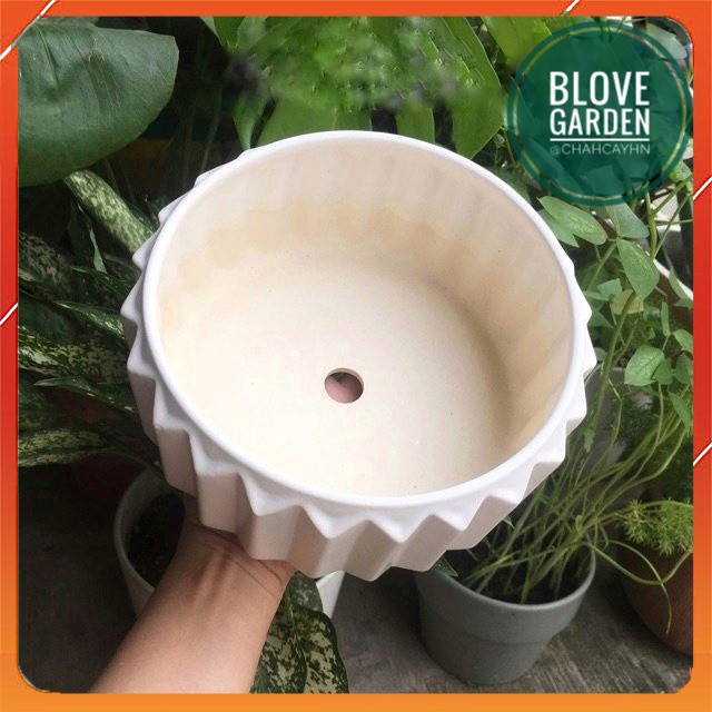 Chậu sứ Bát Tràng Hình Khía cạnh cao trồng cây Để Bàn, Cây Nội Thất, Sen Đá, Xương rồng, Cây Bon sai