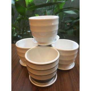 Chậu trồng cây sứ Bát Tràng