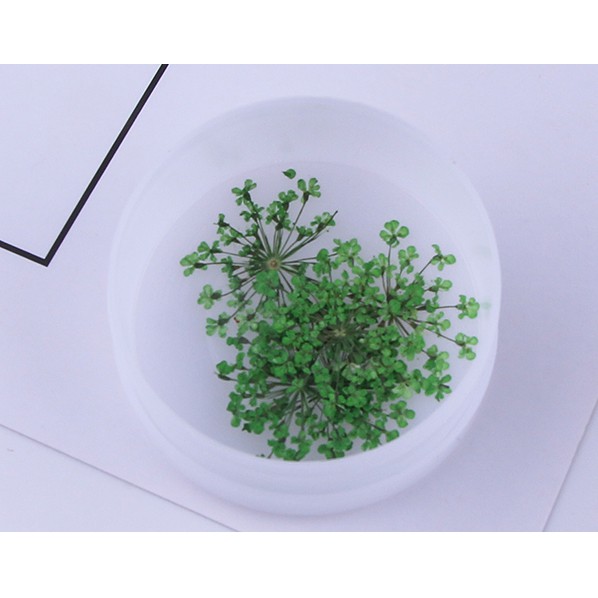 SET 12 Bông Hoa Queen Anne's Lace - Hoa Tuyết Pha Lê Làm Trang Sức