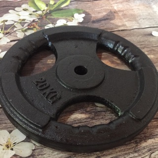 Bánh tạ 20kg phi 27