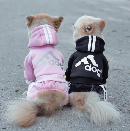 Quần áo cho thú cưng Bulldog Pháp Trang phục cho chó con Trang phục cho thú cưng Áo liền quần Chihuahua Pug Vật nuôi cho chó Quần áo cho chó nhỏ vừa