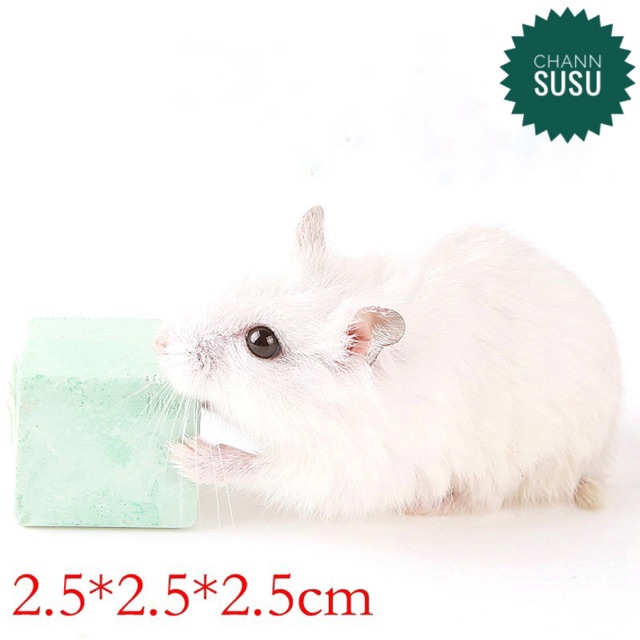 Viên gặm mài răng cho chuột hamster