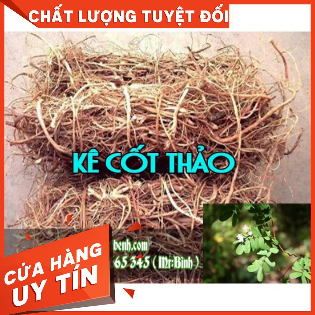 Kê Cốt Thảo chữa viêm gan_1KG - Thảo Dược Uy Tín