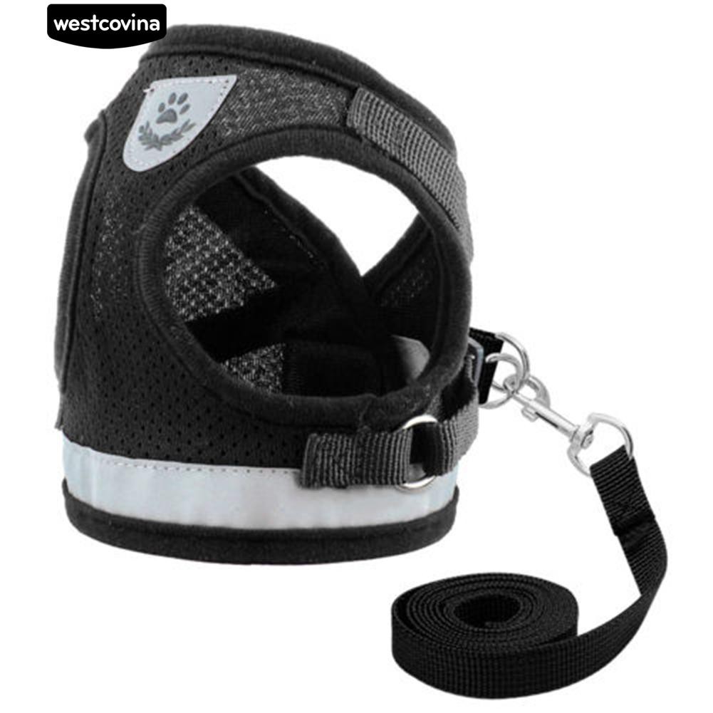 Dây Dắt Thú Cưng Đi Dạo Có Thể Điều Chỉnh Được