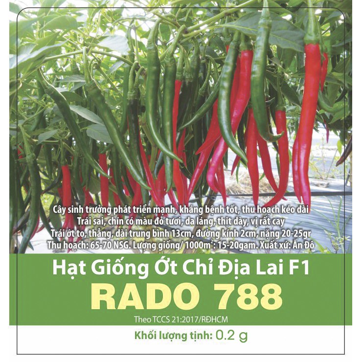 Hạt giống Ớt Chỉ Địa - Giống Ớt Trái Dài, Thịt Dày, Cay, Dễ Trồng,  RẠNG ĐÔNG, HẠT GIỐNG TỐT