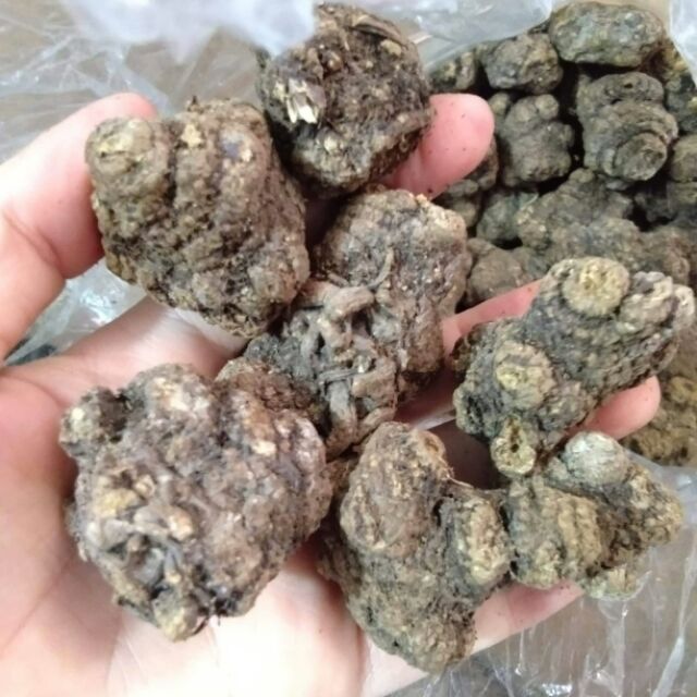 Sỉ giá gốc xuyên khung 500g - 1kg
