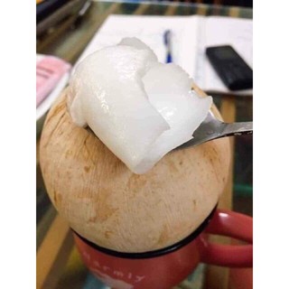 Dừa xiêm Bến Tre