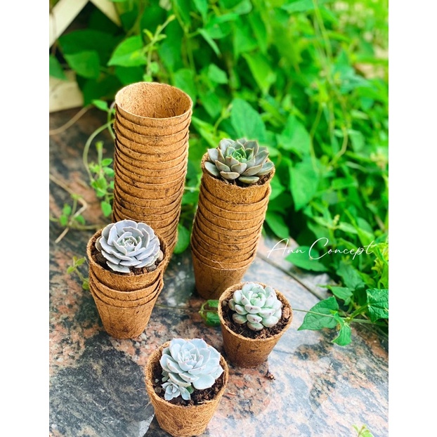 Combo 20 Chậu xơ dừa tròn mini ANN001 - Coir pot
