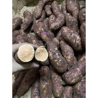 [HCM] 500G Khoai lang mật thu hoạch tại vườn ĐÀ LẠT - Bao đổi trả nếu hàng hỏng