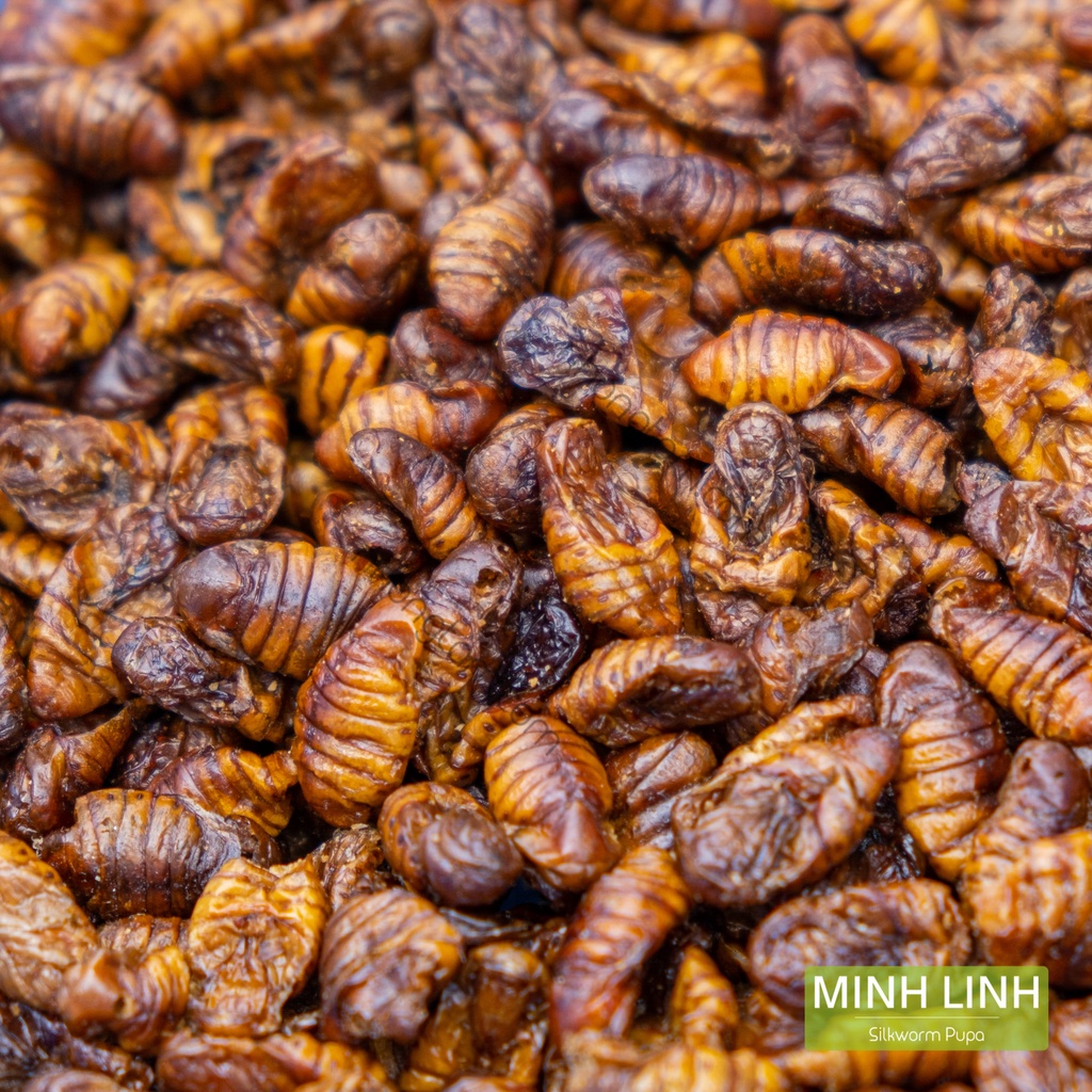 Nhộng tằm sấy nguyên con - Thức ăn cho Sóc, Nhím, Hamster, Cá Koi - 1KG/túi - Nhộng tằm Vegi
