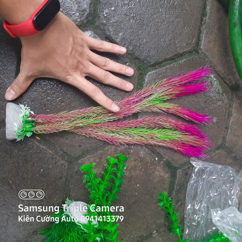 Mô hình trang trí cây nhựa cho bể cá cảnh, bể cá cao cấp SIZE vừa