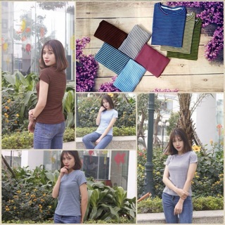 áo thun cổ tròn