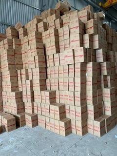 GIẤY ĂN GẤU TRÚC SIPIAO