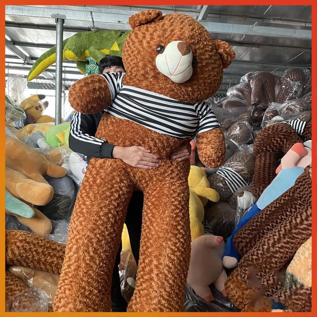 Gấu bông Teddy [_GIÁ GỐC TẬN XƯỞNG_]  Gối ôm Teddy  Hình Thú Làm Quà Tặng Siêu Đáng Yêu 95cm-1m8