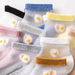Sét 10 đôi tất ren nữ cúc họa mi