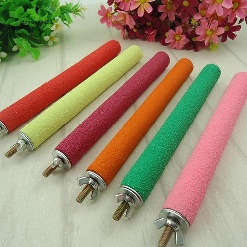 Thanh treo lồng làm chỗ đậu cho chim vẹt tiện dụng