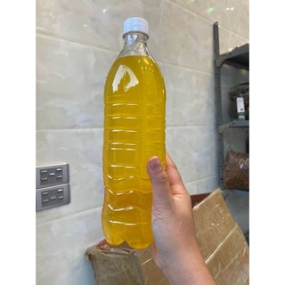 Mật ong hoa bạc hà tự nhiên nguyên chất ( không nuôi)