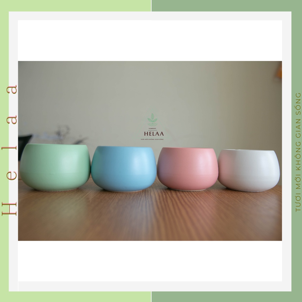 Chậu Sứ Mini Bát Tràng, Chậu Gốm Sứ Trồng Cây Để Bàn, Trồng Sen Đá, Xương Rồng, Trang Trí Bàn Làm Việc - Size Tầm Trung