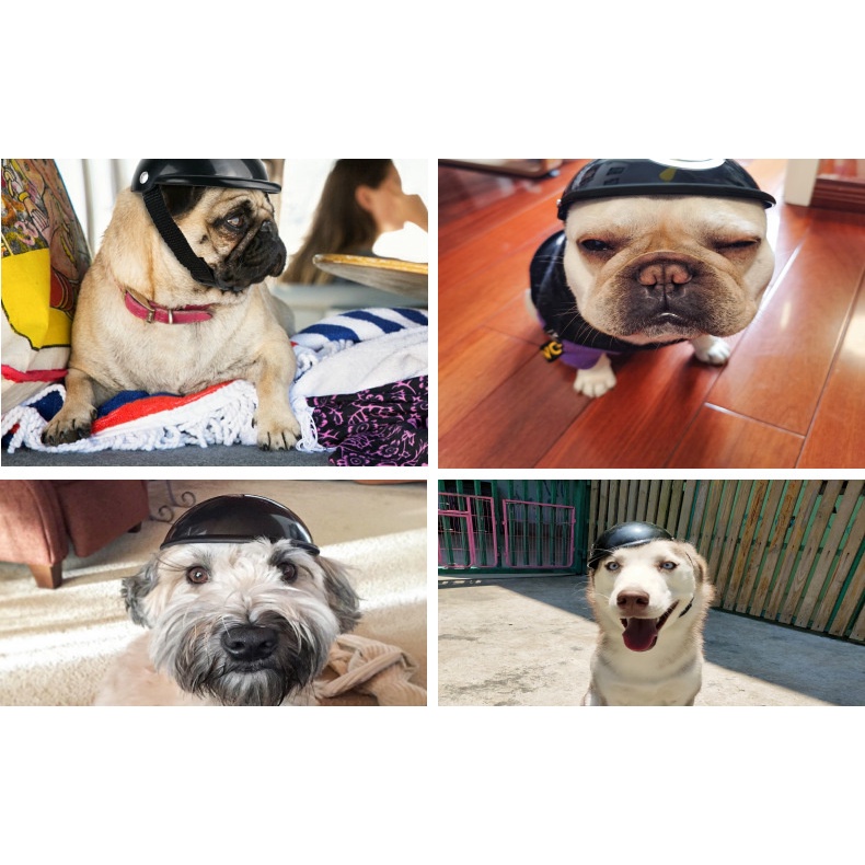 Mũ Bảo Hiểm Đi Xe Máy Dành Cho Thú Cưng Size S / M