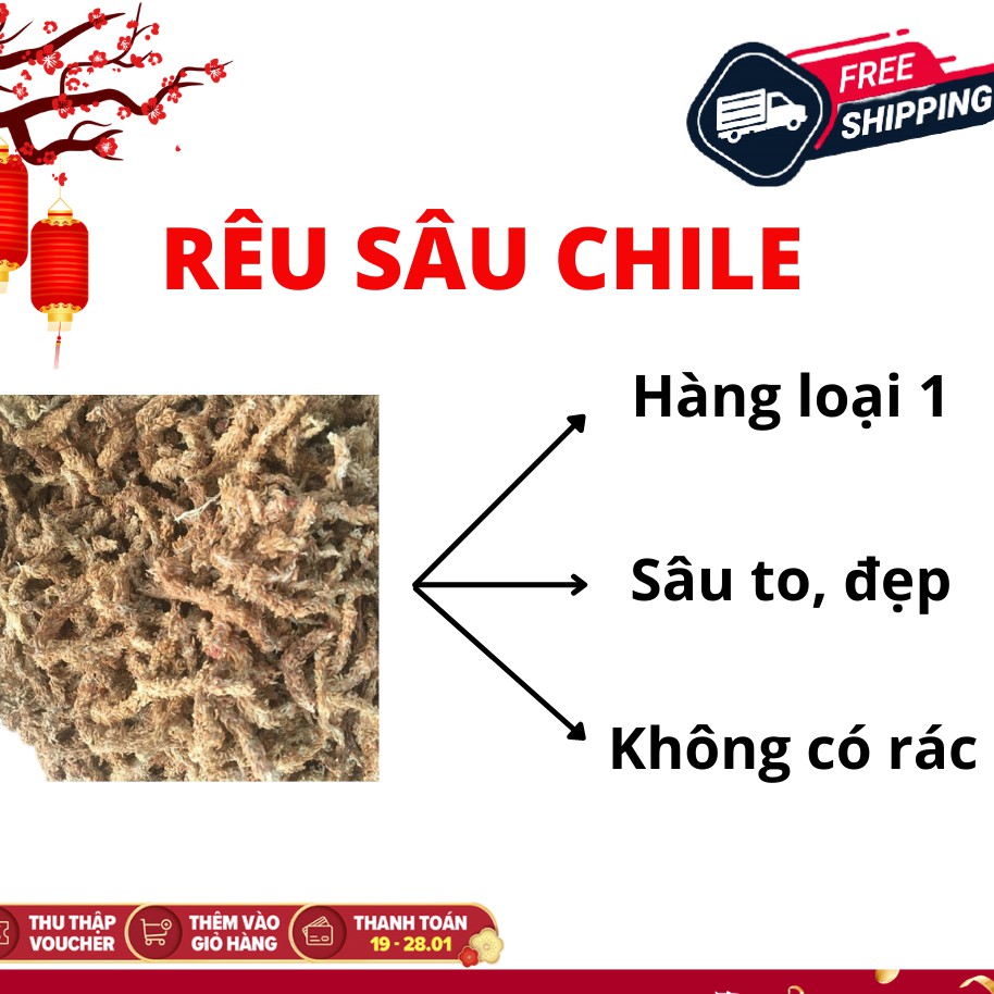 [FREESHIP TỪ 50K] Rêu sâu ChiLe (giữ ẩm tuyệt vời cho phong lan) gói 100g