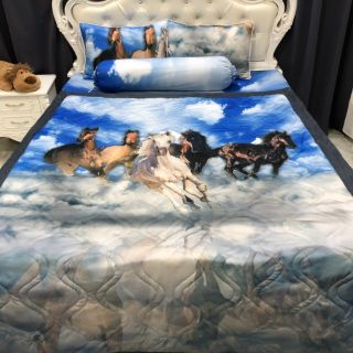 Drap thun Lạnh 5D