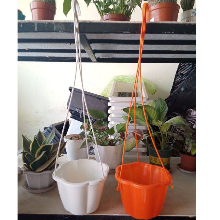 Combo 5 chậu treo trái khế xinh xắn trồng hoa (kèm dây treo)